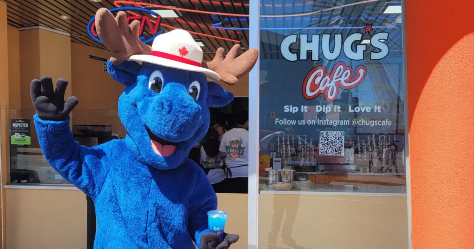 Blue Moose